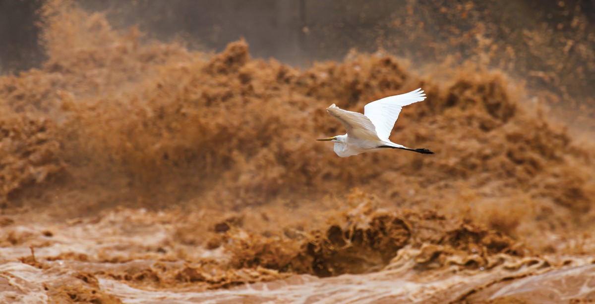 Leia mais sobre o artigo SST em barragens de mineração: voos ainda rasos